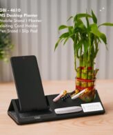 MS Desktop Planter (GBI 4610)