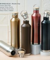 GBI-N4063/64/65 Insulated Water Bottle